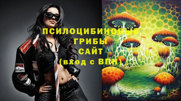 спиды Алексеевка