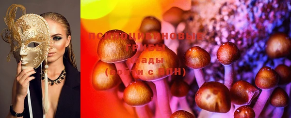спиды Алексеевка