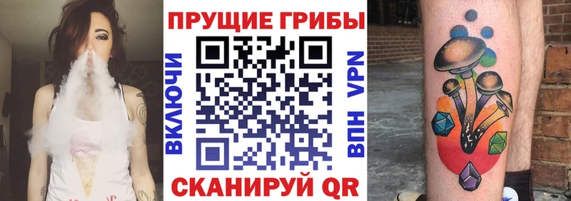 Галлюциногенные грибы Psilocybe  Устюжна 